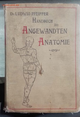 Книга Анатомия 1899 года, на оценку. - IMG_20170202_090223