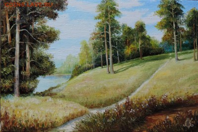 КАРТИНА  красивая! "Сосны на  берегу" холст,масло. - DSCN4337