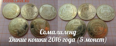 Сомалиленд Дикие кошки 2016г 5 монет - B3KW7WMlO4g