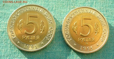 Рыбный филин и Винторогий козел, до 05.02.17г. 22-00 мск. - P1180967.JPG