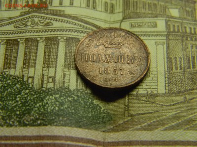 полушка 1857 ем до 5.02 в 21.30 по Москве - Изображение 1899