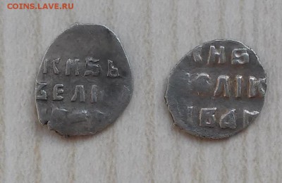 Атрибутация и определение чешуи (пополняемая). - 20170203_113147