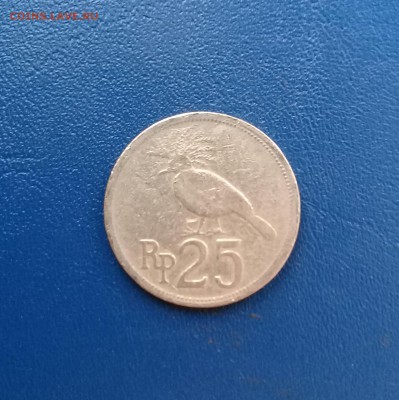 25 рупий,Индонезия,до 5.02. - 20170202_172633