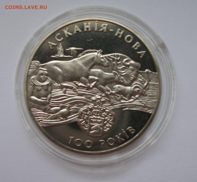 Юбилейка Украины (Сочи, Сосюра,Аскания-Нова) Оценка - P4040014.JPG