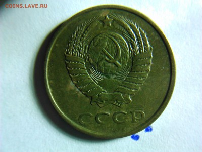 вторые колосья с остями,выхода маленькой ости нет - DSC_0124