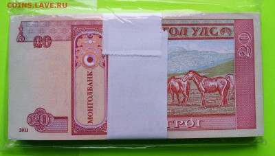 Пачка 100 шт. Пресс МОНГОЛИЯ 20 ТУГРИКОВ 2011 до 8.02 22-00 - МОНГОЛИЯ 20 ТУГРИКОВ 2011 - А (1000).JPG