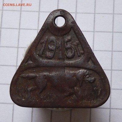 Жетон с собакой. - DSCF8485.JPG