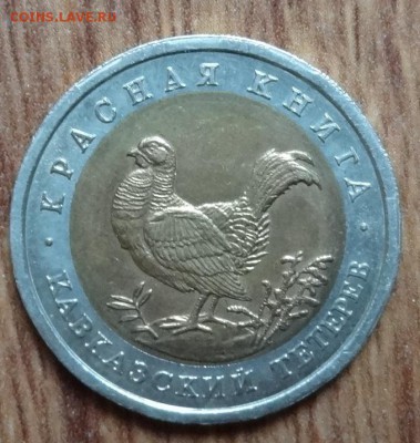 Россия 1993 Красная книга Тетерев до 08.02.17 22-00 - DSC02672.JPG
