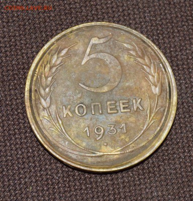 5коп 1931г   нижний левый стебель без узлов - DSC_2655.JPG