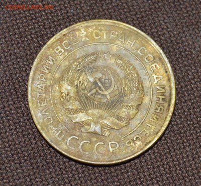 5коп 1931г   нижний левый стебель без узлов - DSC_2656.JPG