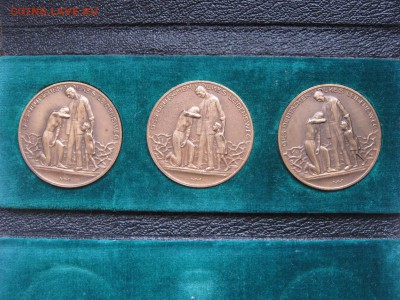 Нотгельды 1917-1920 и Вестафалия, Гамбург 1923 на оценку - IMG_0629
