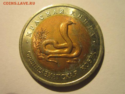 с 200 кк 1992 Кобра до 10.02.2017 в 22:30 - IMG_2349.JPG