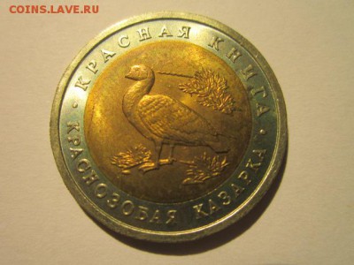 с 200 кк 1992 Казарка до 10.02.2017 в 22:30 - IMG_2347.JPG