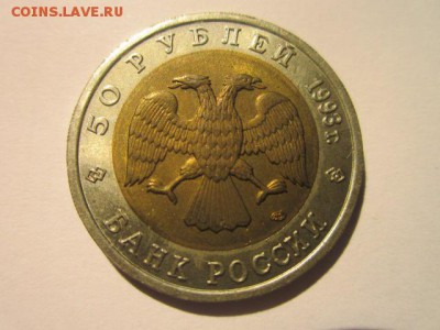 с 200 кк 1993 Тетерев до 10.02.2017 в 22:30 - IMG_2356.JPG