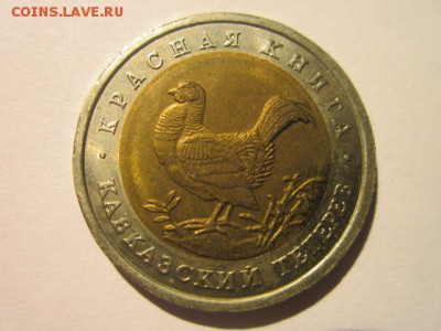 с 200 кк 1993 Тетерев до 10.02.2017 в 22:30 - IMG_2355.JPG