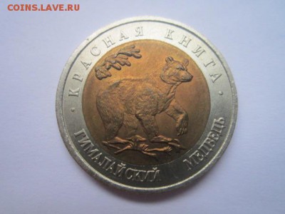 с 200 кк 1993 Медведь до 10.02.2017 в 22:30 - IMG_2302.JPG