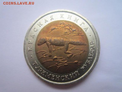 с 200 кк 1993 Зублефар до 10.02.2017 в 22:30 - IMG_2300.JPG
