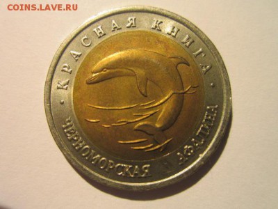 с 200 кк 1993 Афалина до 10.02.2017 в 22:30 - IMG_2353.JPG