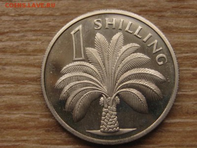 Гамбия 1 шиллинг 1966 proof до 08.02.17 в 22.00 М - IMG_3907.JPG
