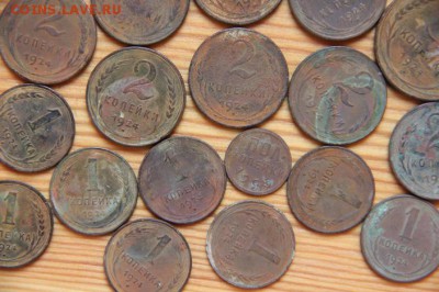 1,2,3,5коп 1924год,28монет - maldives