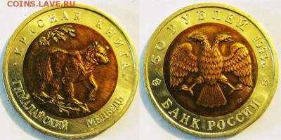 КК 1993 год. Гималайский медведь. До 08.02 в 22-00МСК - Медведь