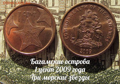 Багамские острова 1 цент 2009 года Три морские звезды - 1