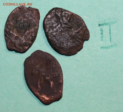 копейки Алексея михайловича медь до 14 02.2017 - IMG_1494.JPG