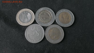бим иностранный - IMAG4378