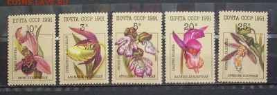 СССР. 1991 г.. Орхидеи.  До 11.02.17 г.. - IMG_5632.JPG