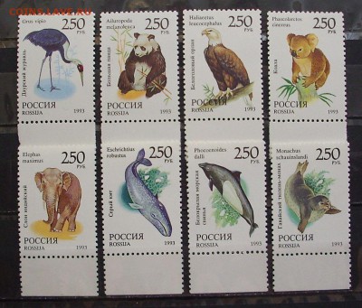 РОССИЯ. 1993 г.. Фауна МИРА.  До 11.02.17 г.. - IMG_5633.JPG