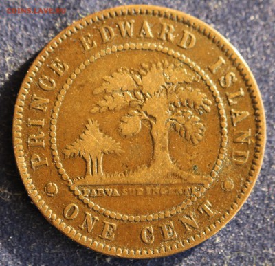 С 1 руб. ОСТРОВ ПРИНЦА ЭДВАРДА 1с 1871г. ВИКТОРИЯ до 13.02 - IMG_4620.JPG