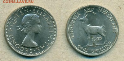 1 шиллинг Родезия и Ньясаленд 1955 г - ek1