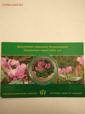 Украина 2 грн Цикламен Косский - w5jGS2Uuz6o