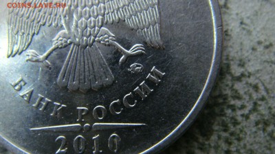 Вопросы по разновиднстям от сахарок - DSC09728.JPG
