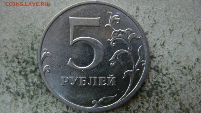 Вопросы по разновиднстям от сахарок - DSC09726.JPG
