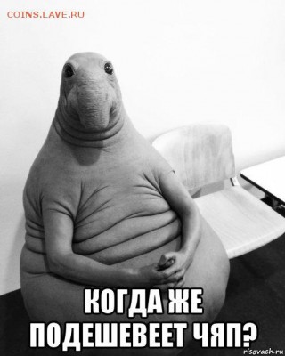 Ждун - Ждун ждет ЧЯП