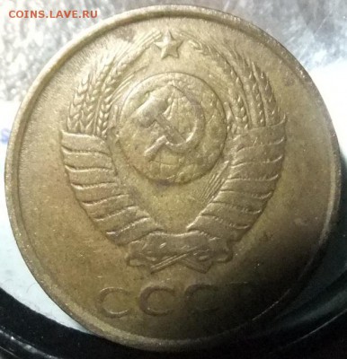3к.1984г.ости есть на 2х колосьях? - DSCF9764.JPG