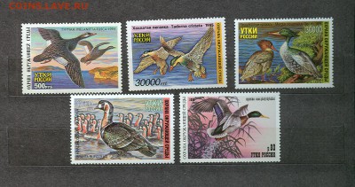Марки утки 1994-1998 почему нет в каталоге - утки