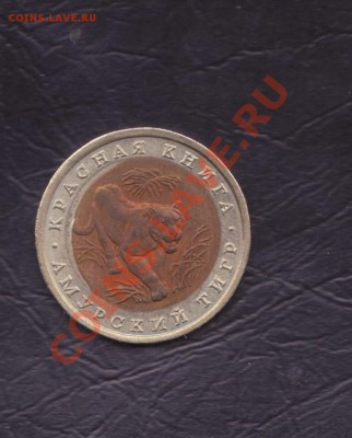 Амурский тигр Красная книга 1992 до 27.01.2011 22.00 мск - Красная книга 005