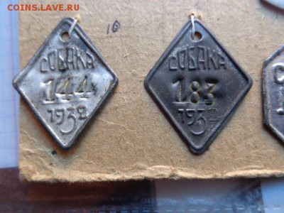 Жетон Собака довоенный № 183   до 16.2  в 21-20 мск - DSC08447.JPG