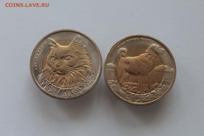Турция 1 лира 2010 Кошка и Собака UNC до 11.02.17 22:00 - IMG_3327.JPG