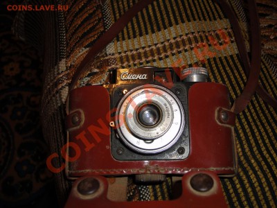 фотики - DSC00182.JPG
