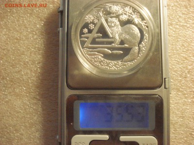 Доллар Ниуэ 2007 года Русский Север - Соболь на оценку. - DSC07149.JPG