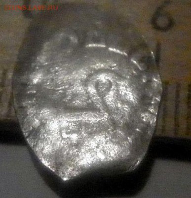 Чешуя на определение и оценку. - image (7)
