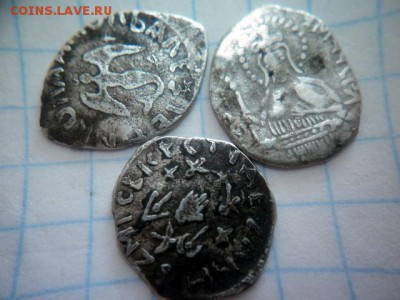 Чешуя на определение и оценку. - image (10)