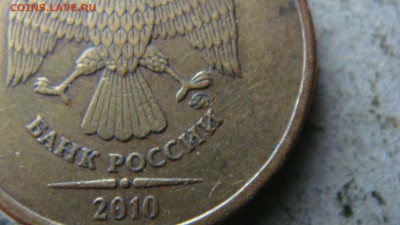 Вопросы по разновиднстям от сахарок - DSC09794.JPG