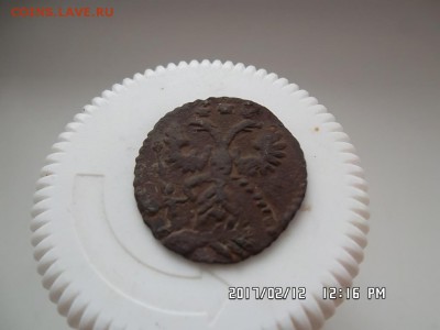 полушка 1731 года. двойной удар - SAM_3879.JPG