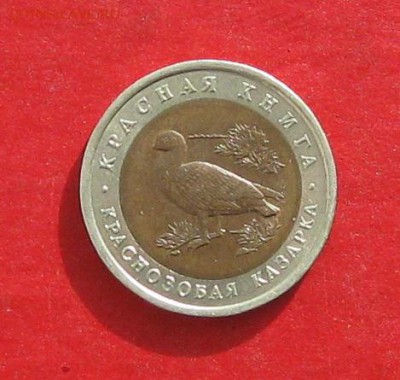 Красная книга 1992г 10руб  Казарка до 15.02.17г - IMG_8679.JPG