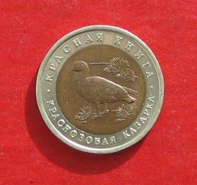Красная книга 1992г 10руб  Казарка до 15.02.17г - IMG_8677.JPG