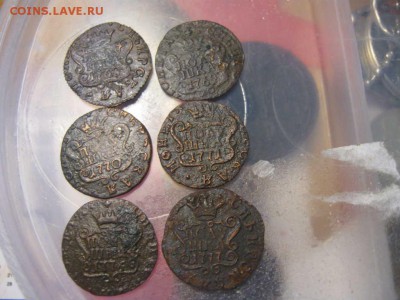 Полушки Сибирь 1768-71,76,77. Окончание 15.02 в 22.00 МСК - IMG_2519(FILEminimizer)